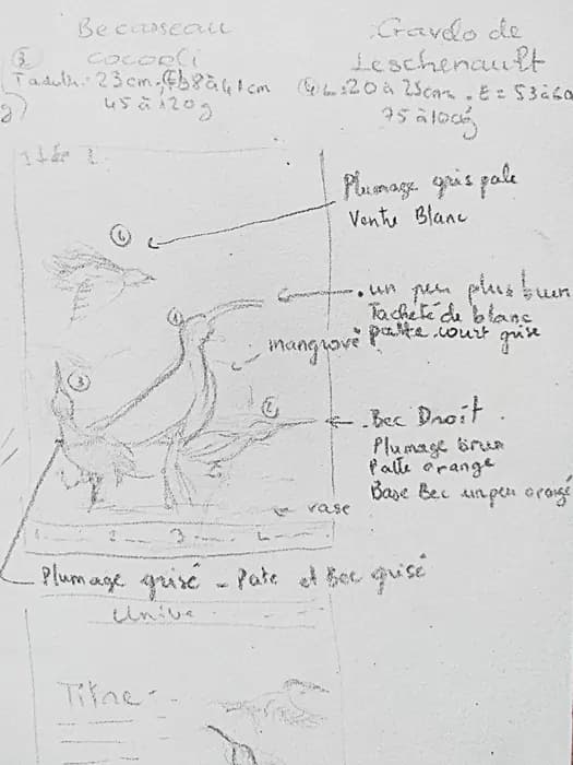 Croquis annoté, deuxième page