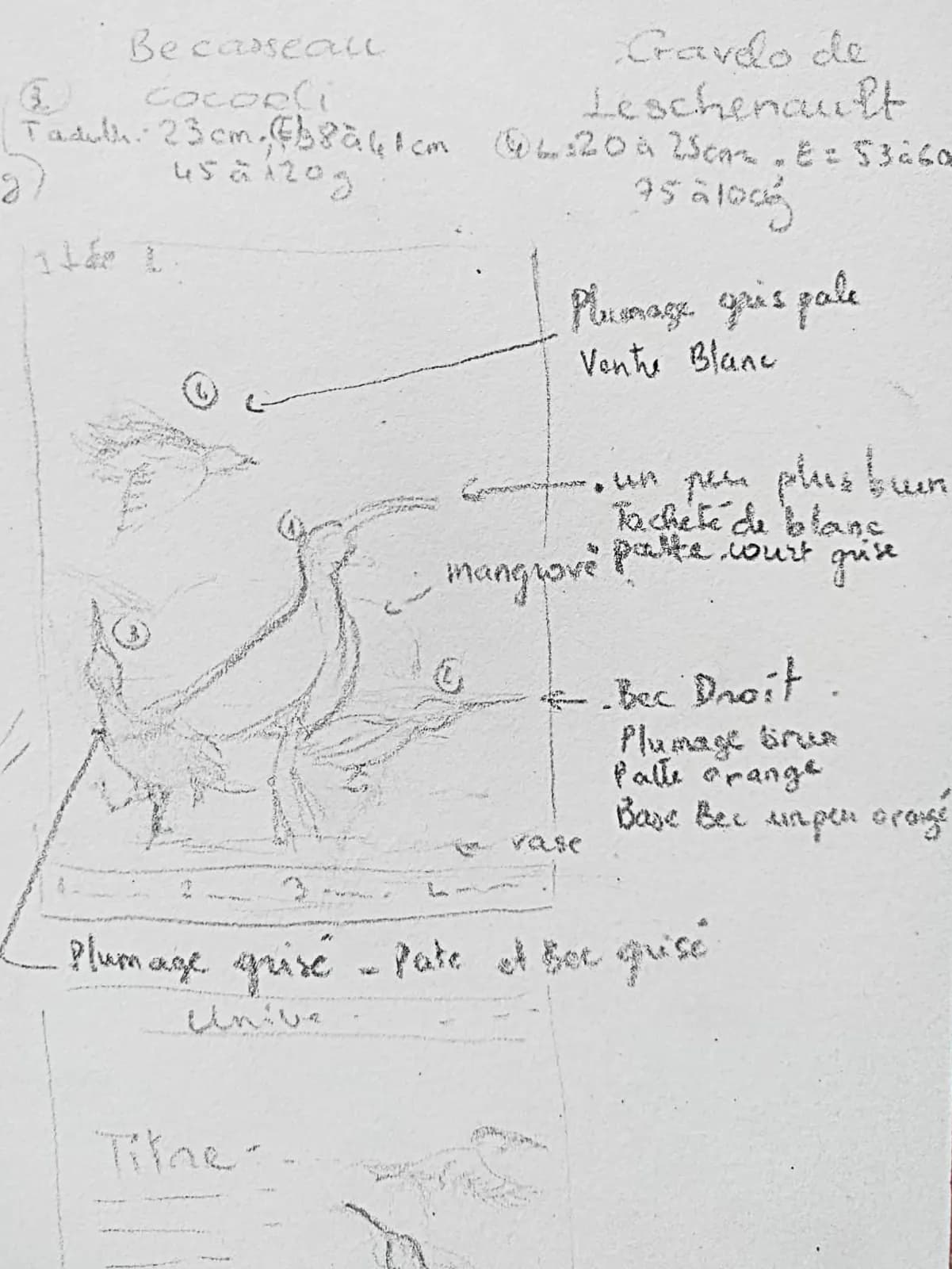 Croquis annoté, deuxième page
